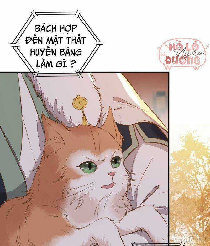 Sát Thủ Vương Phi Không Dễ Chọc Chapter 50 trang 44