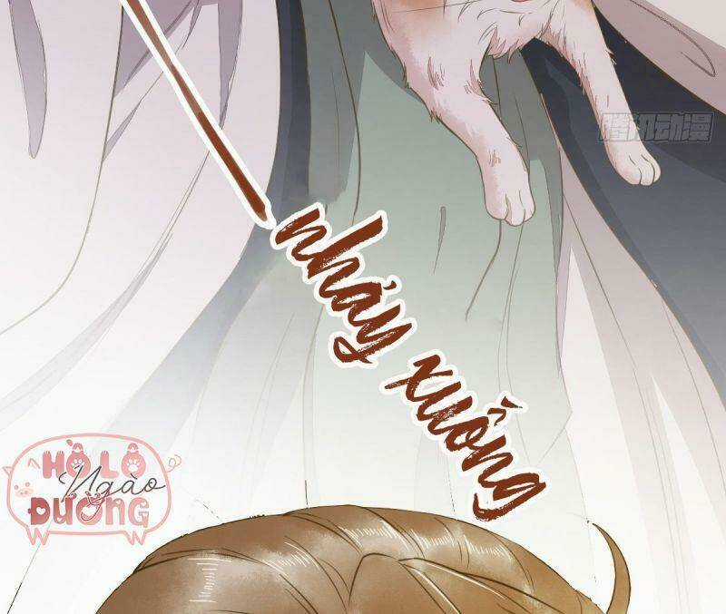 Sát Thủ Vương Phi Không Dễ Chọc Chapter 50 trang 52