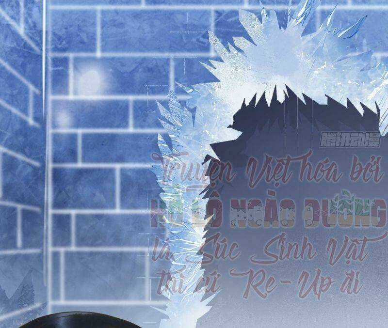 Sát Thủ Vương Phi Không Dễ Chọc Chapter 50 trang 56