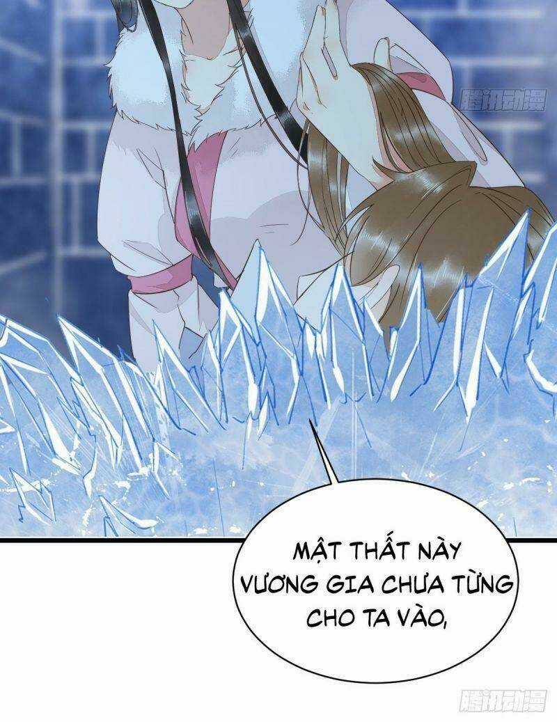 Sát Thủ Vương Phi Không Dễ Chọc Chapter 51 trang 11