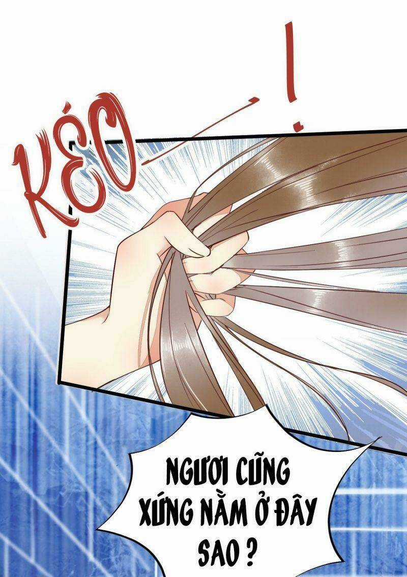 Sát Thủ Vương Phi Không Dễ Chọc Chapter 51 trang 12