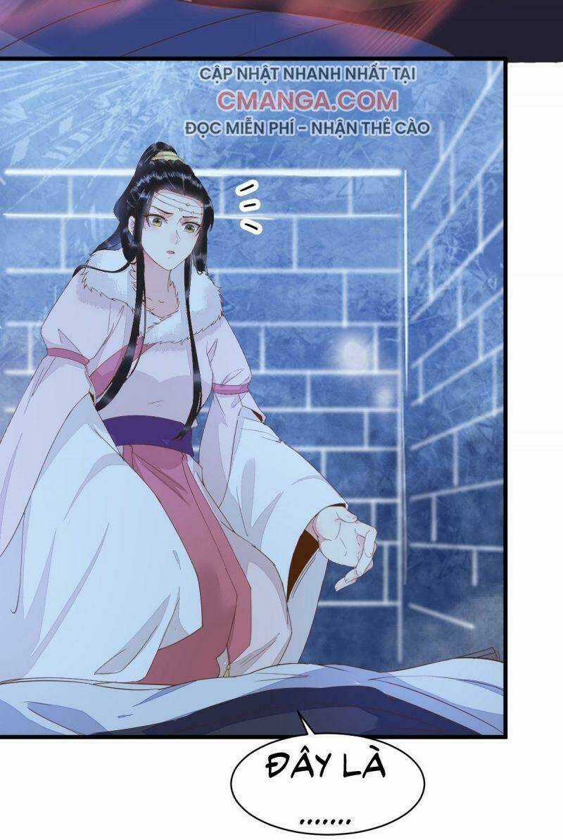 Sát Thủ Vương Phi Không Dễ Chọc Chapter 51 trang 28