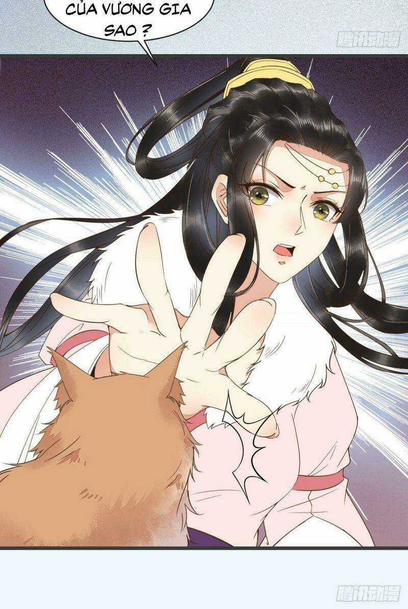 Sát Thủ Vương Phi Không Dễ Chọc Chapter 51 trang 35