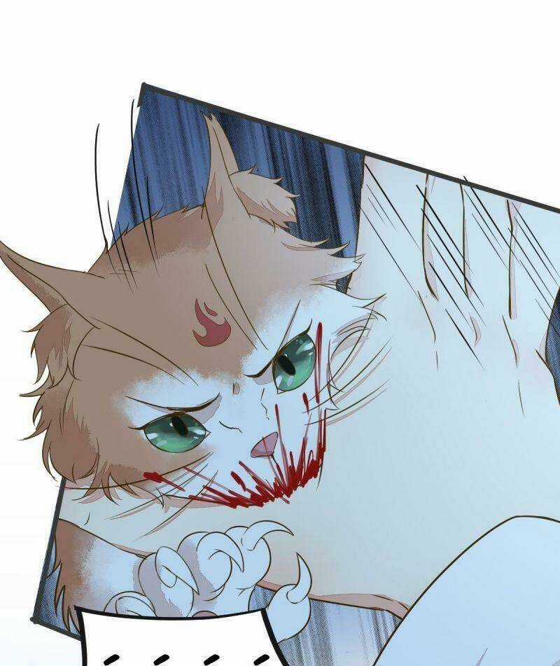 Sát Thủ Vương Phi Không Dễ Chọc Chapter 51 trang 36