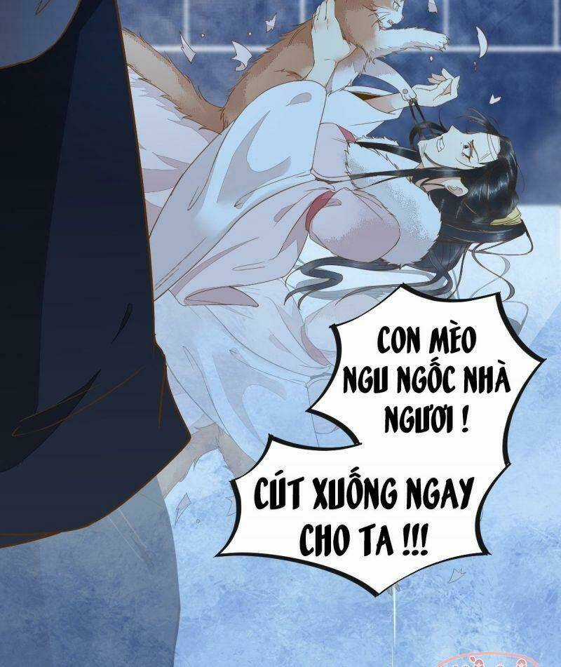 Sát Thủ Vương Phi Không Dễ Chọc Chapter 51 trang 42