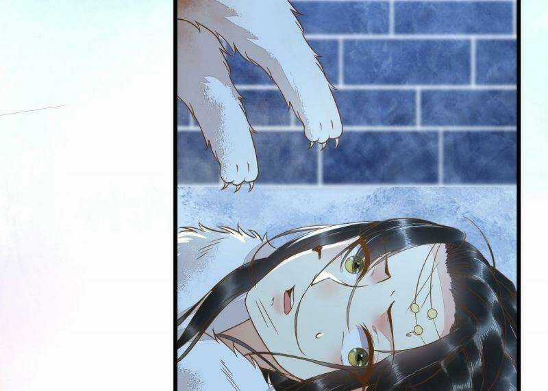 Sát Thủ Vương Phi Không Dễ Chọc Chapter 51 trang 48