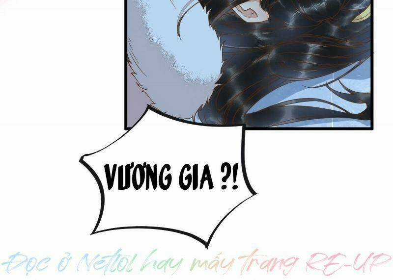 Sát Thủ Vương Phi Không Dễ Chọc Chapter 51 trang 49