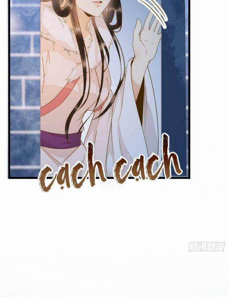 Sát Thủ Vương Phi Không Dễ Chọc Chapter 51 trang 7