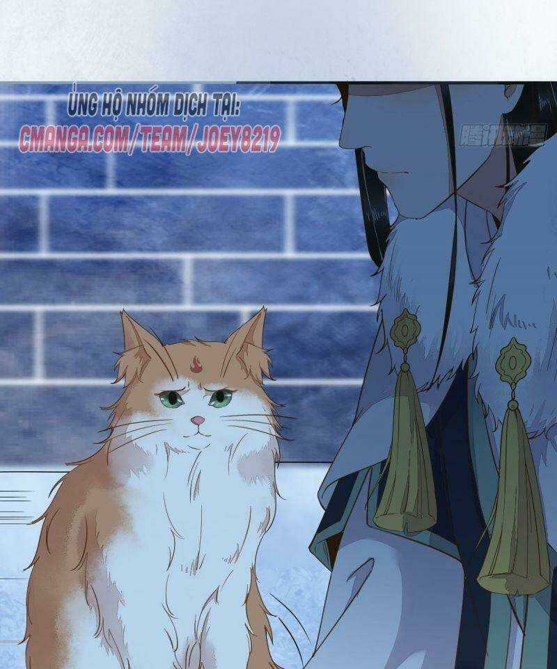 Sát Thủ Vương Phi Không Dễ Chọc Chapter 52 trang 42