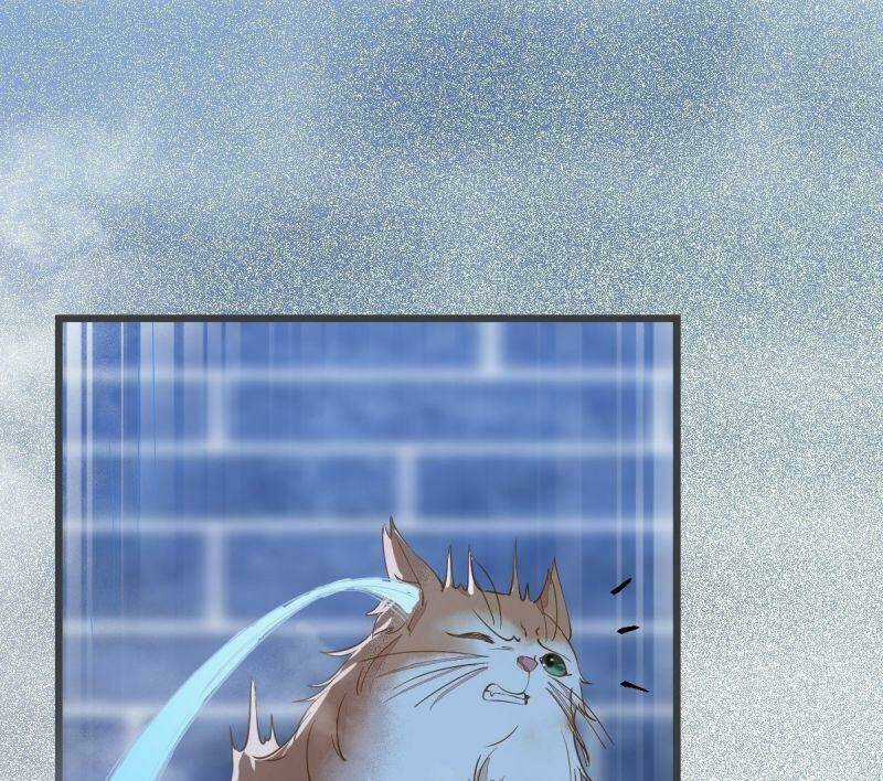 Sát Thủ Vương Phi Không Dễ Chọc Chapter 52 trang 45