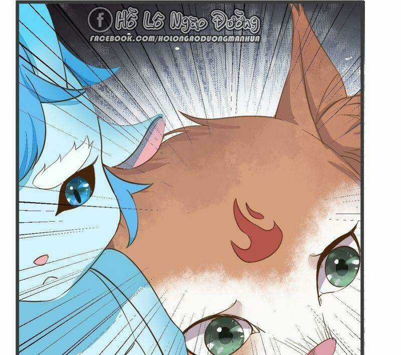 Sát Thủ Vương Phi Không Dễ Chọc Chapter 52 trang 50