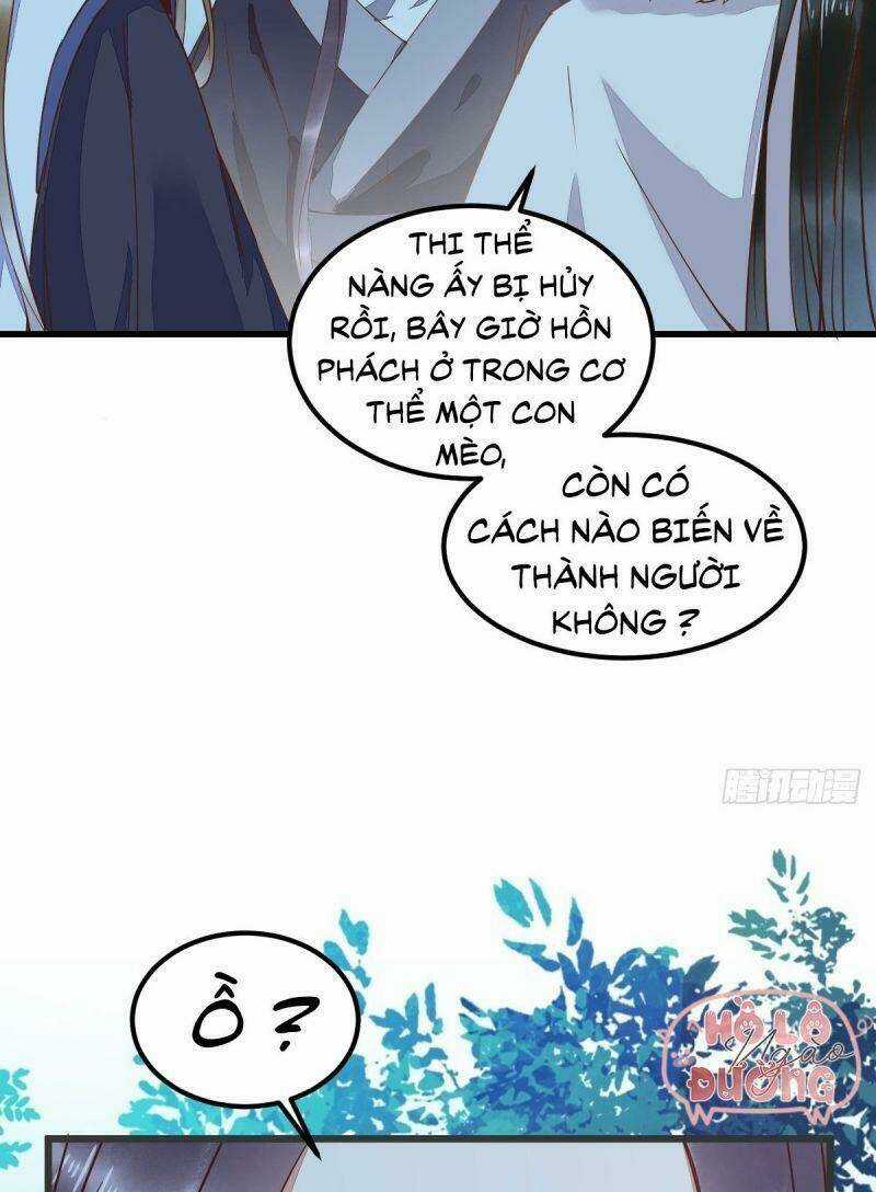 Sát Thủ Vương Phi Không Dễ Chọc Chapter 54 trang 10