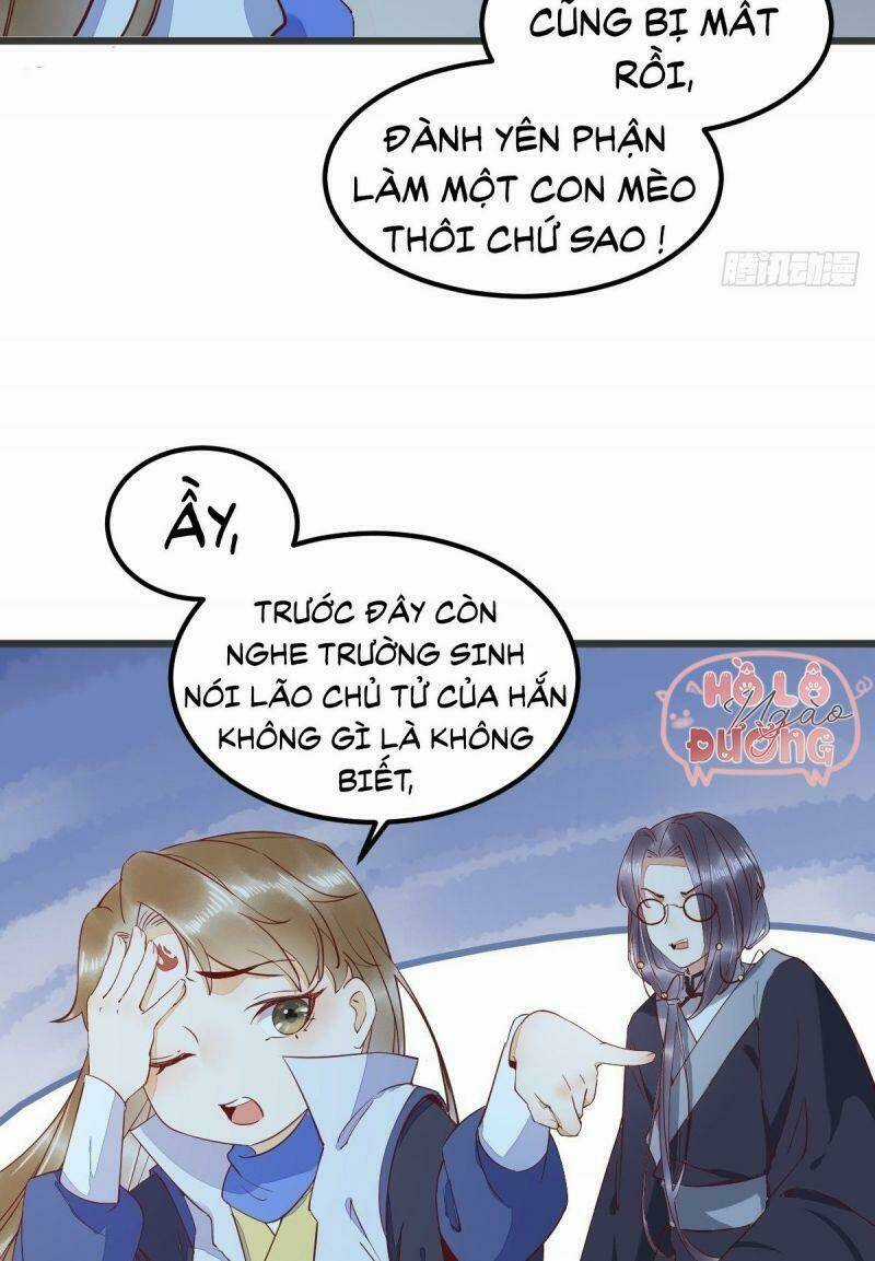 Sát Thủ Vương Phi Không Dễ Chọc Chapter 54 trang 13