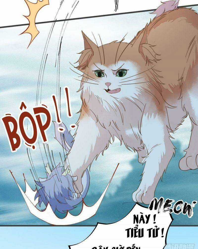 Sát Thủ Vương Phi Không Dễ Chọc Chapter 55 trang 26