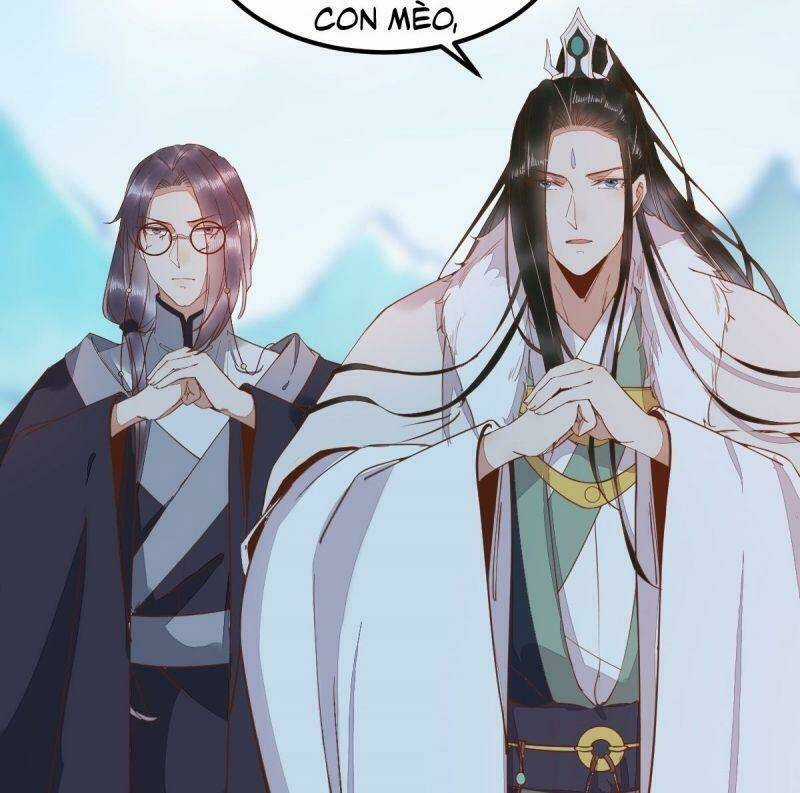 Sát Thủ Vương Phi Không Dễ Chọc Chapter 55 trang 47