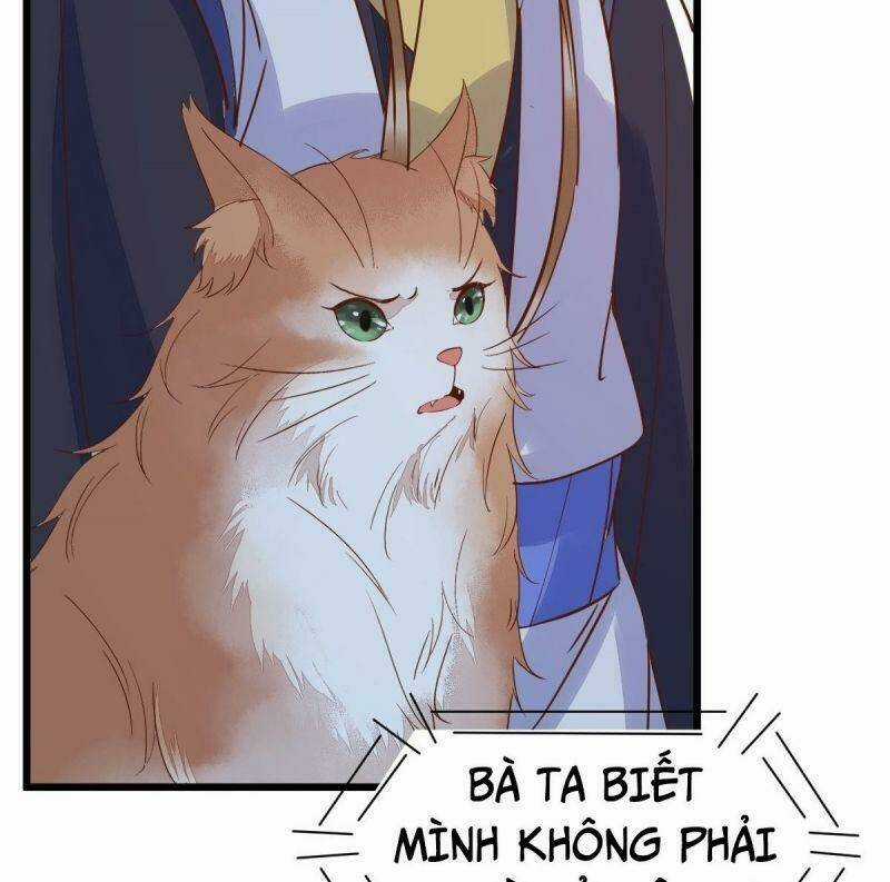 Sát Thủ Vương Phi Không Dễ Chọc Chapter 55 trang 54