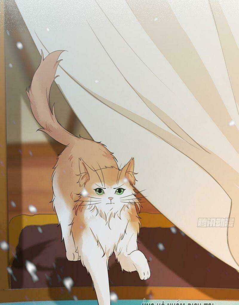 Sát Thủ Vương Phi Không Dễ Chọc Chapter 57 trang 27