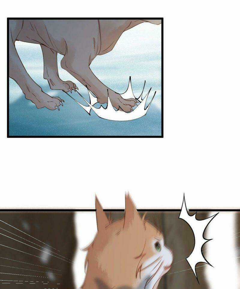 Sát Thủ Vương Phi Không Dễ Chọc Chapter 57 trang 32