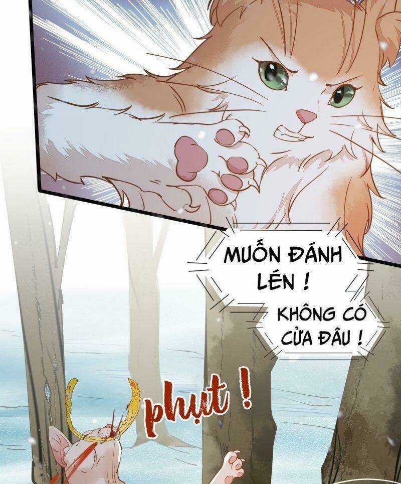 Sát Thủ Vương Phi Không Dễ Chọc Chapter 57 trang 34