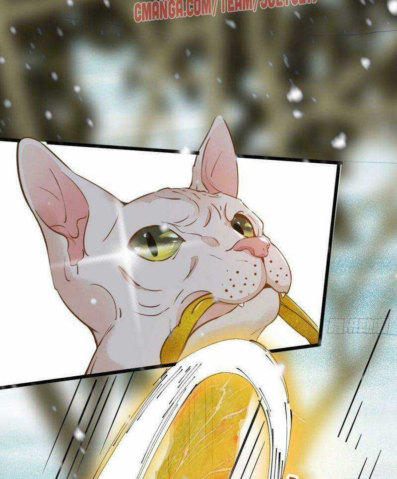 Sát Thủ Vương Phi Không Dễ Chọc Chapter 57 trang 36