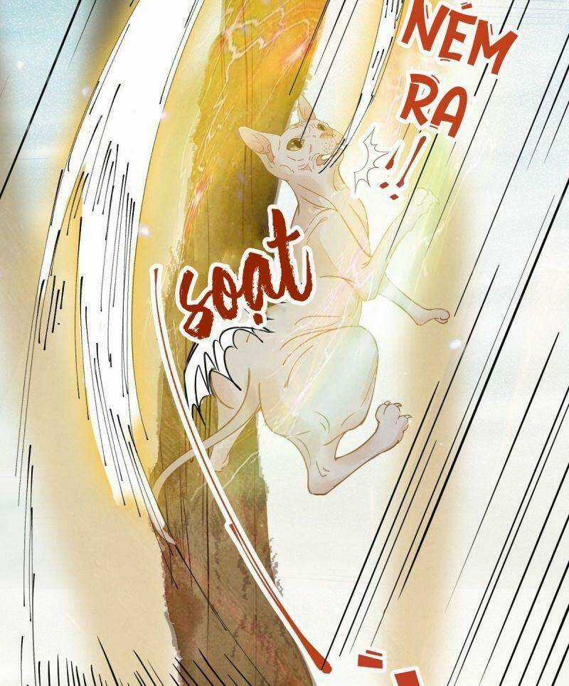 Sát Thủ Vương Phi Không Dễ Chọc Chapter 57 trang 37