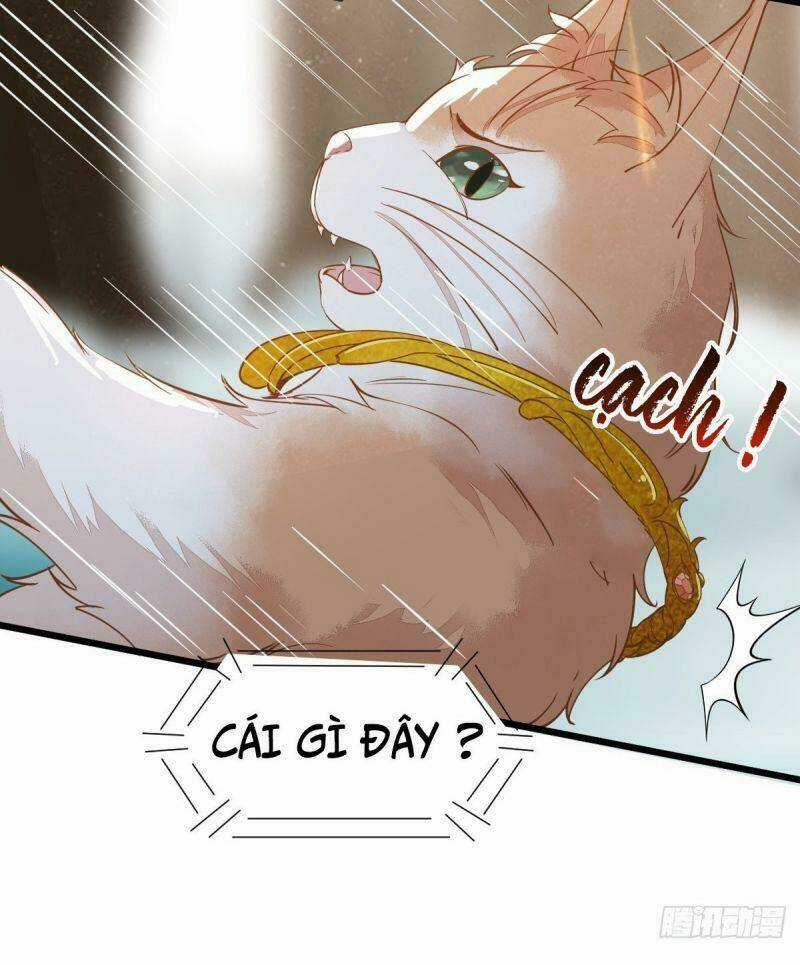 Sát Thủ Vương Phi Không Dễ Chọc Chapter 57 trang 39