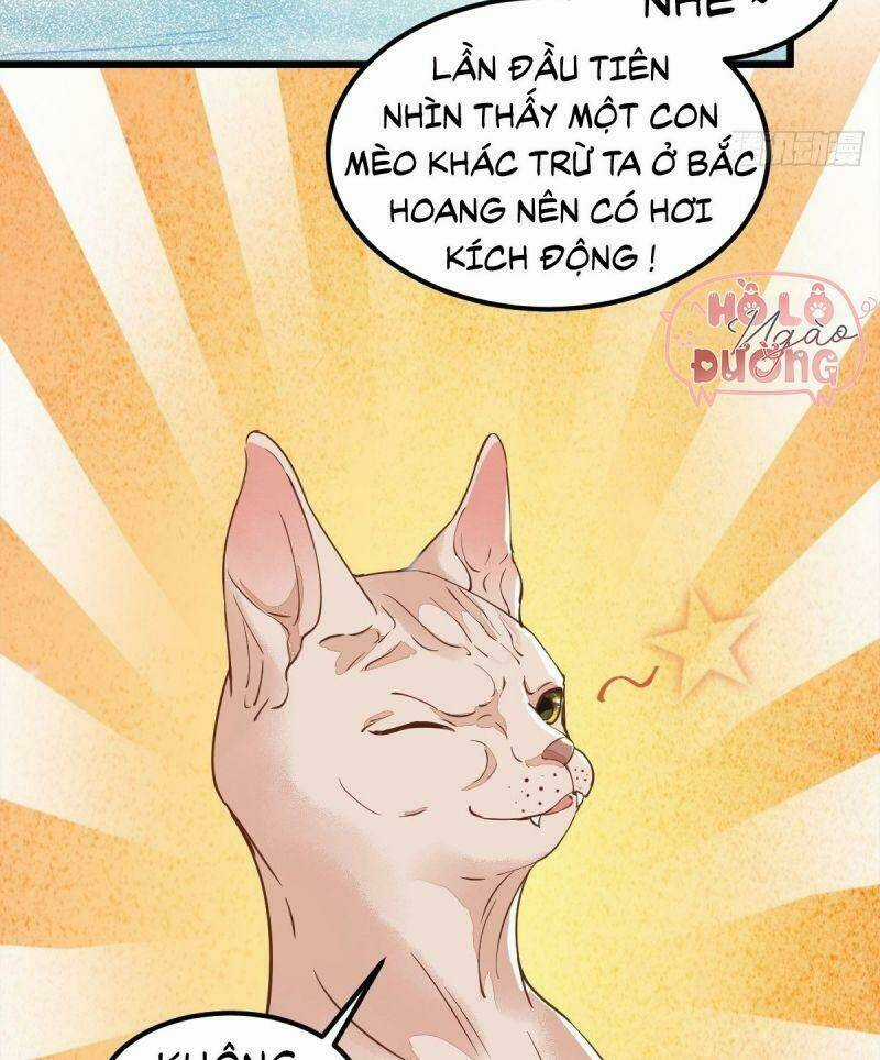 Sát Thủ Vương Phi Không Dễ Chọc Chapter 57 trang 41