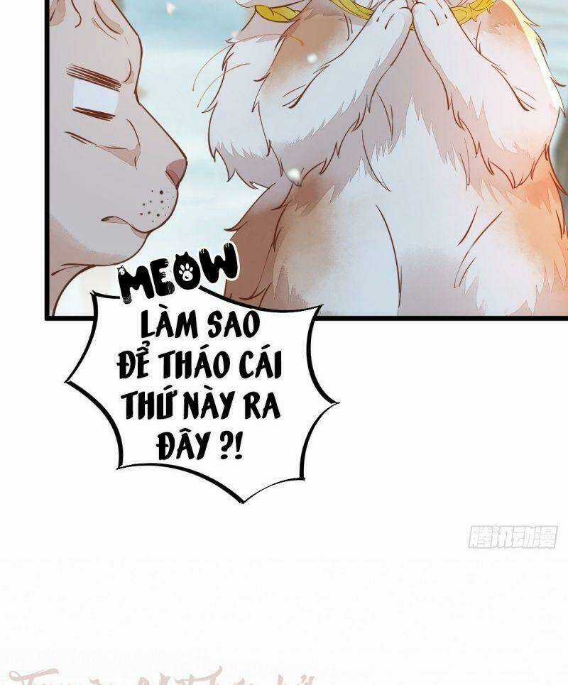 Sát Thủ Vương Phi Không Dễ Chọc Chapter 57 trang 43