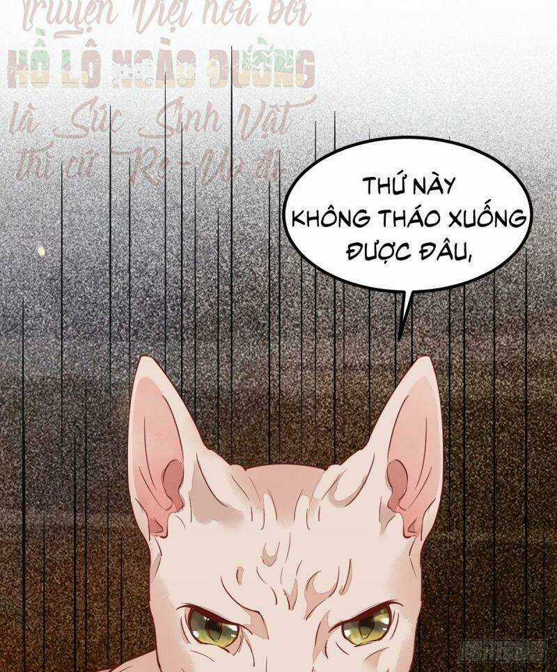 Sát Thủ Vương Phi Không Dễ Chọc Chapter 57 trang 44