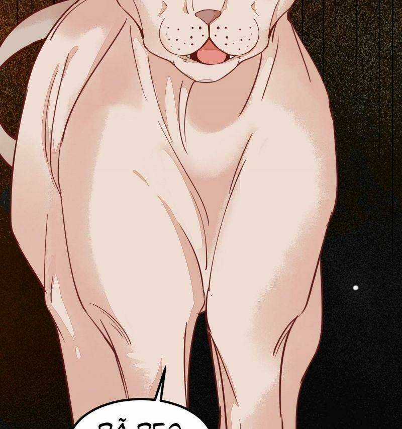 Sát Thủ Vương Phi Không Dễ Chọc Chapter 57 trang 45