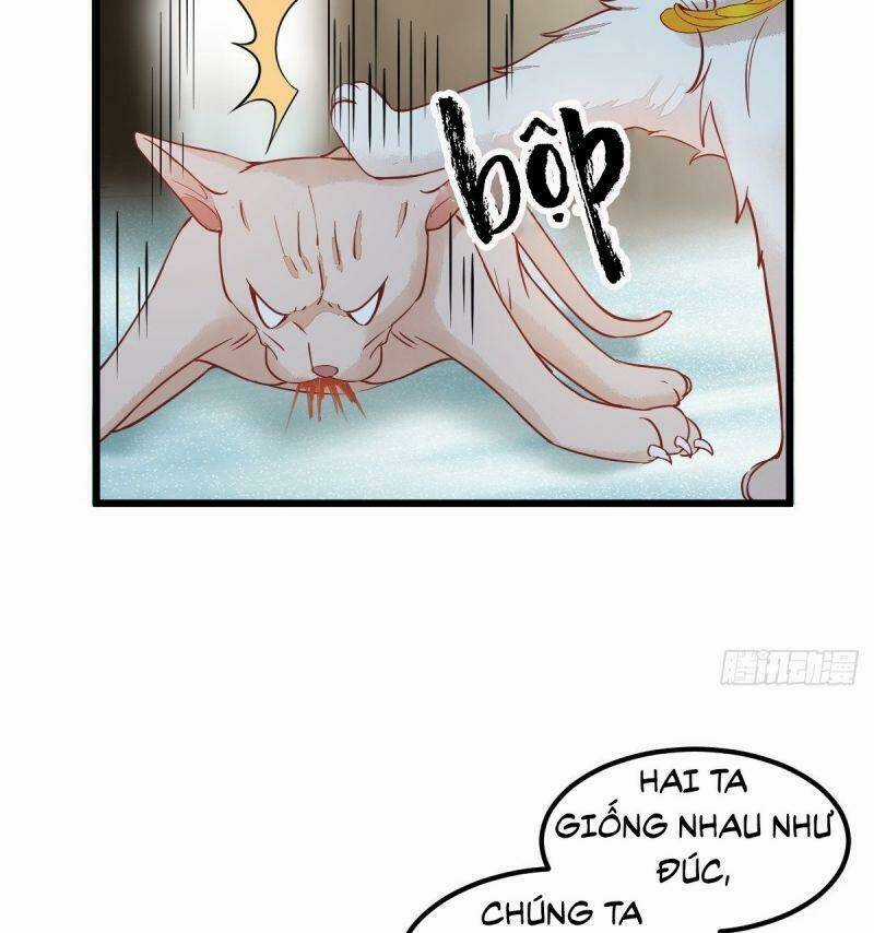 Sát Thủ Vương Phi Không Dễ Chọc Chapter 57 trang 47