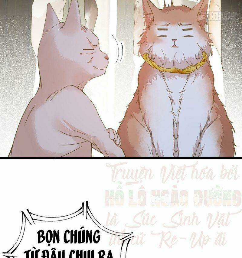 Sát Thủ Vương Phi Không Dễ Chọc Chapter 57 trang 51