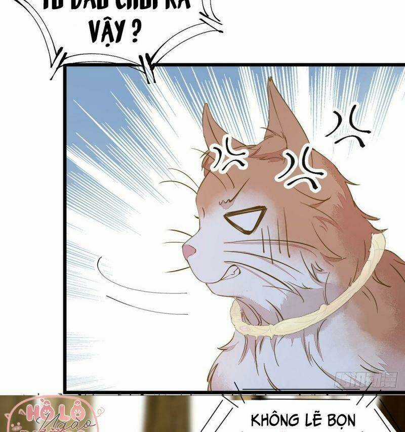 Sát Thủ Vương Phi Không Dễ Chọc Chapter 57 trang 52