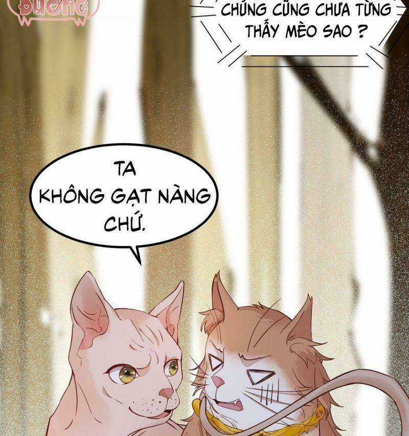 Sát Thủ Vương Phi Không Dễ Chọc Chapter 57 trang 53