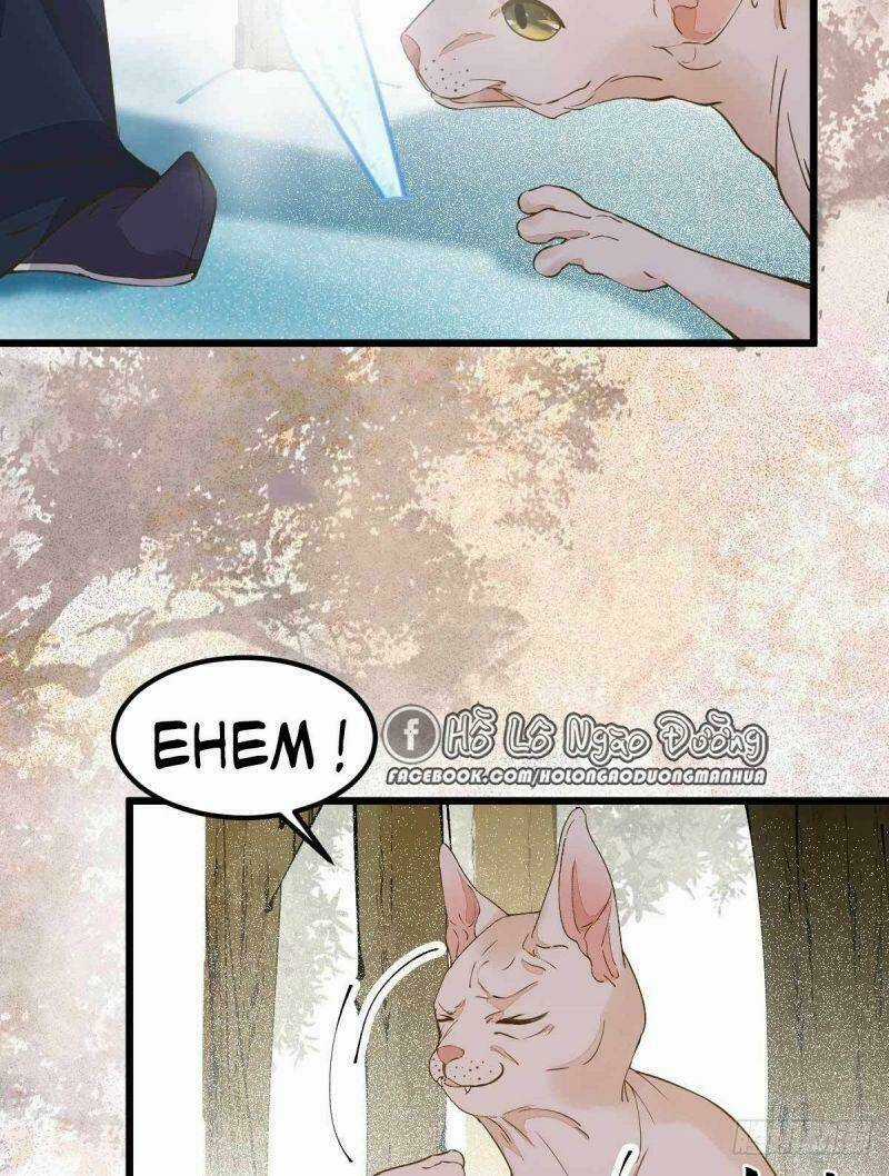 Sát Thủ Vương Phi Không Dễ Chọc Chapter 58 trang 10