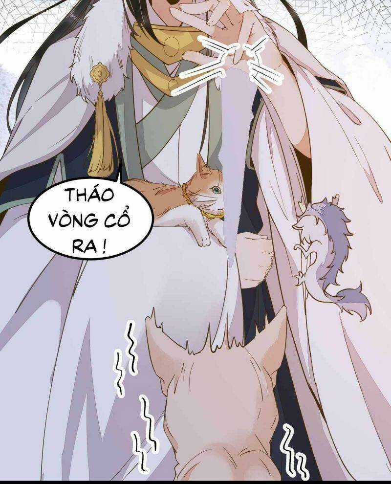 Sát Thủ Vương Phi Không Dễ Chọc Chapter 58 trang 12