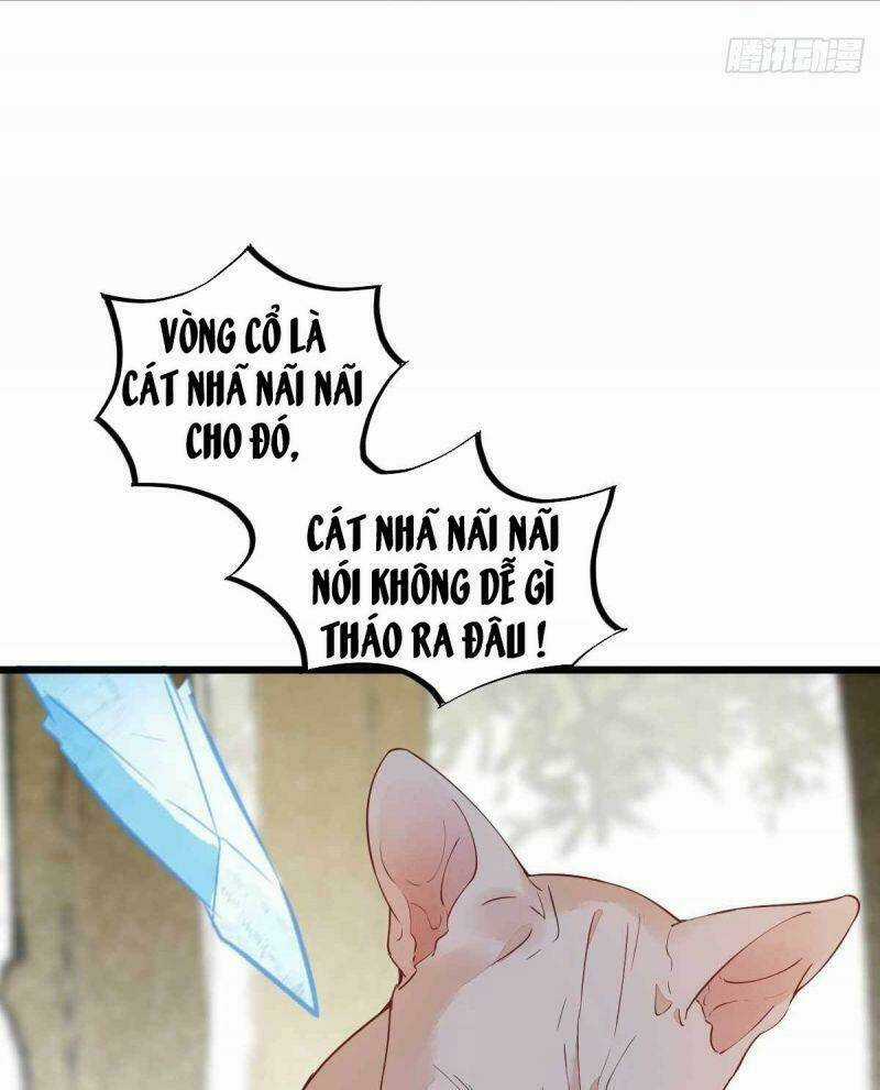 Sát Thủ Vương Phi Không Dễ Chọc Chapter 58 trang 13