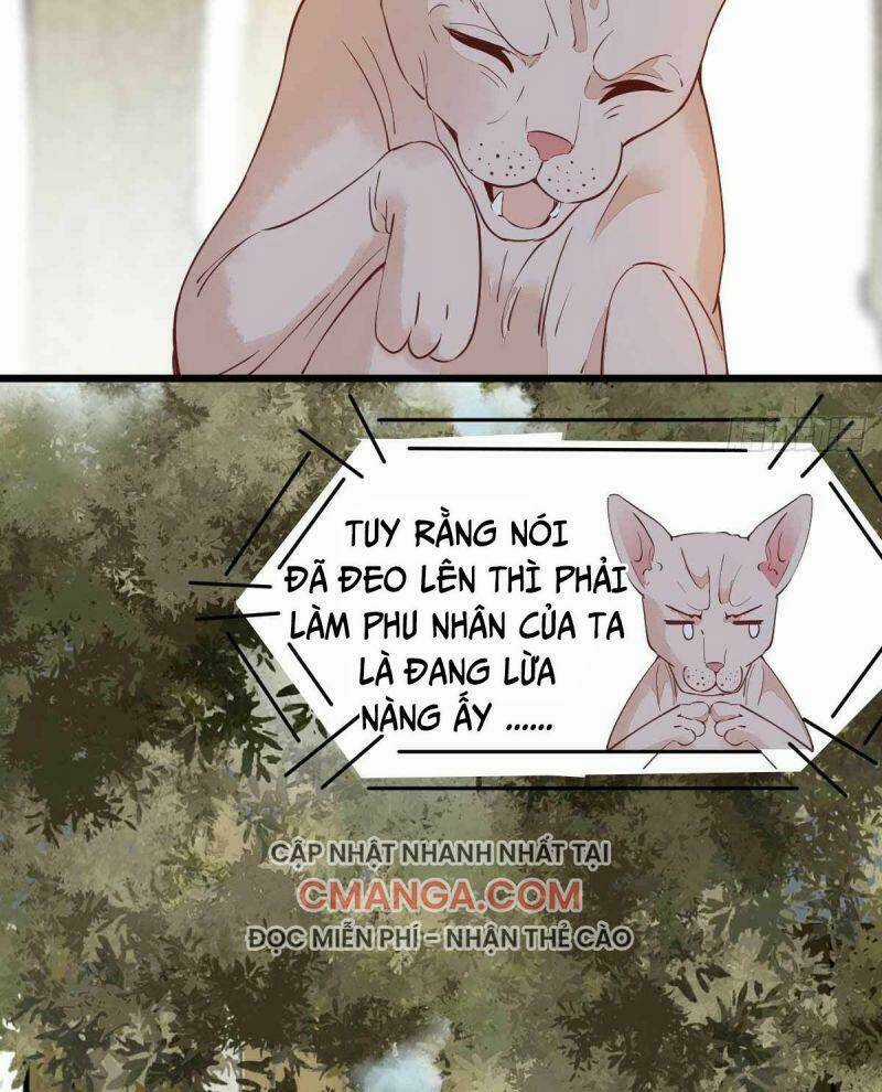 Sát Thủ Vương Phi Không Dễ Chọc Chapter 58 trang 14