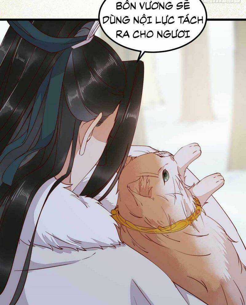 Sát Thủ Vương Phi Không Dễ Chọc Chapter 58 trang 20