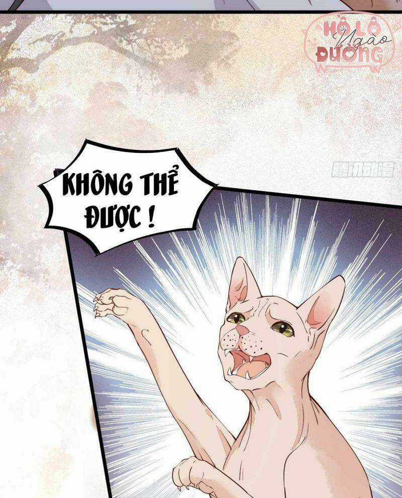 Sát Thủ Vương Phi Không Dễ Chọc Chapter 58 trang 21