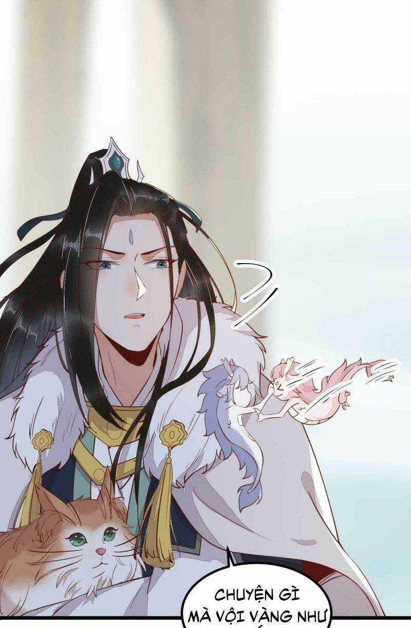 Sát Thủ Vương Phi Không Dễ Chọc Chapter 58 trang 31