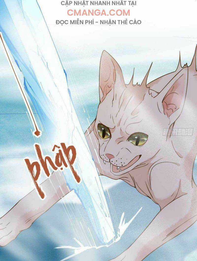 Sát Thủ Vương Phi Không Dễ Chọc Chapter 58 trang 6