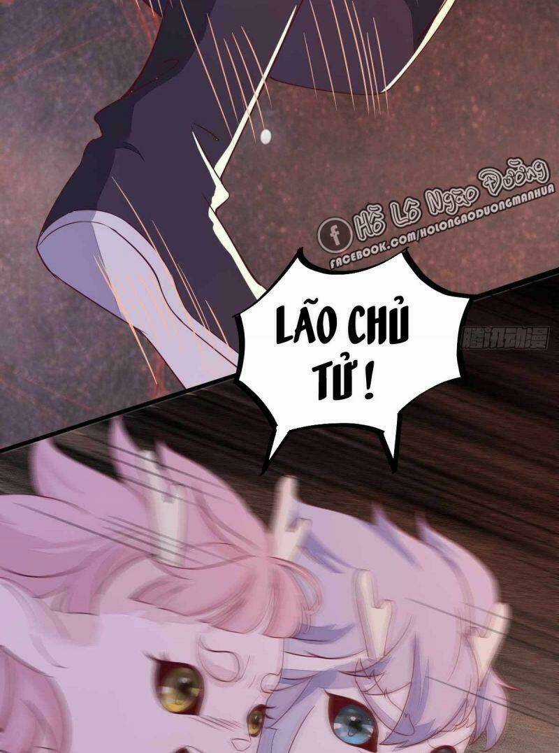 Sát Thủ Vương Phi Không Dễ Chọc Chapter 59 trang 14