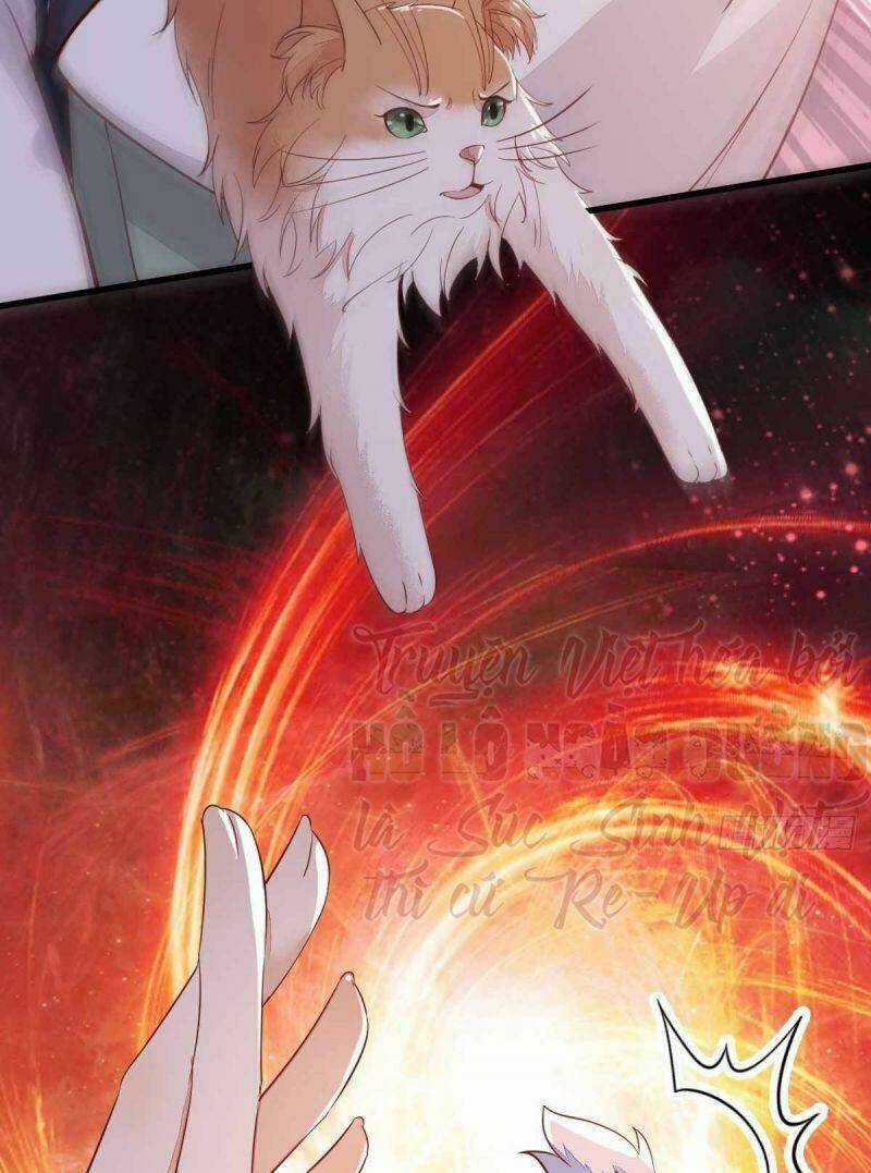 Sát Thủ Vương Phi Không Dễ Chọc Chapter 59 trang 17