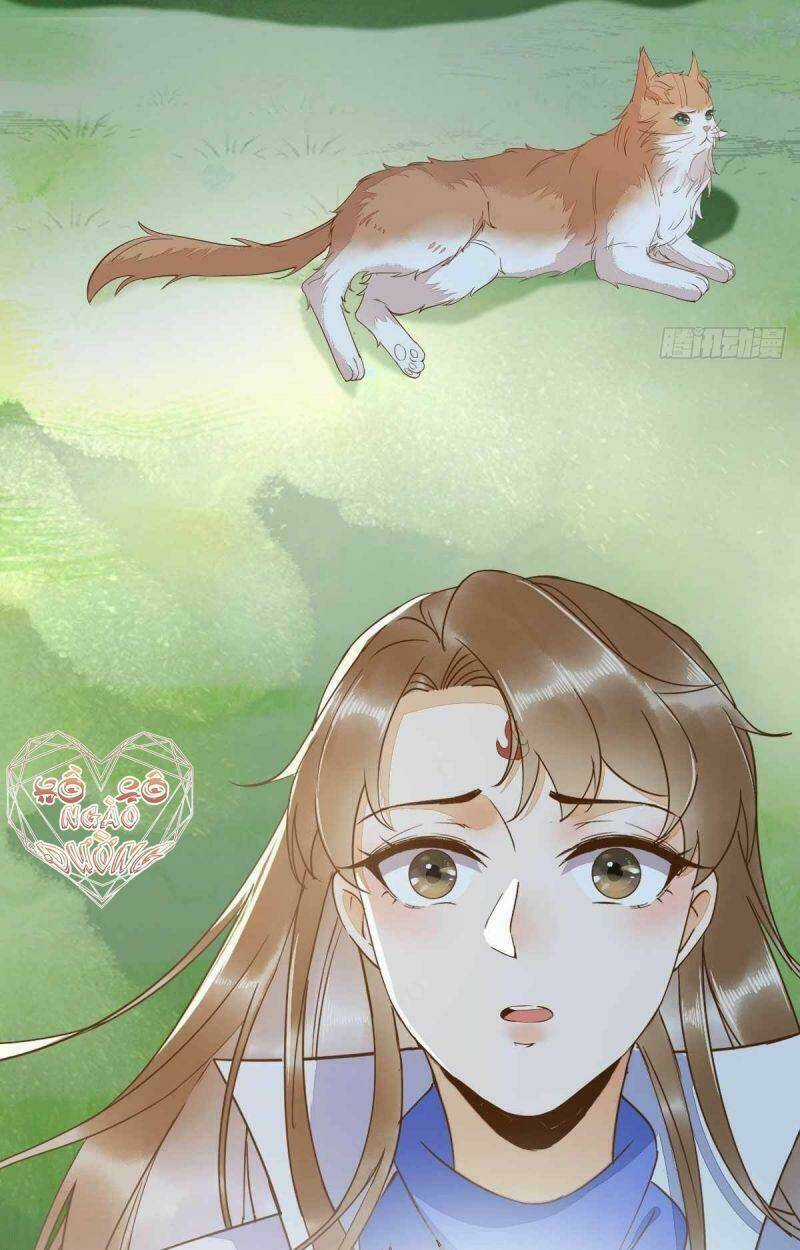 Sát Thủ Vương Phi Không Dễ Chọc Chapter 59 trang 30