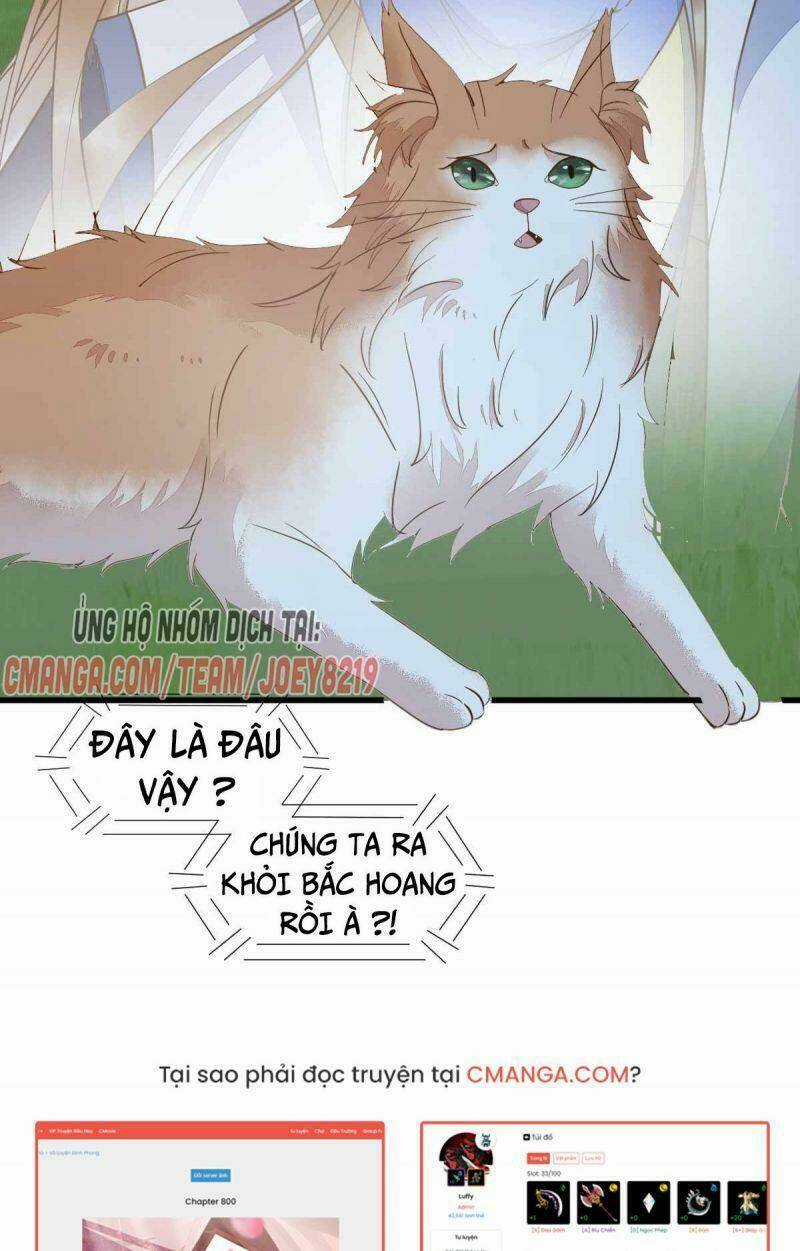 Sát Thủ Vương Phi Không Dễ Chọc Chapter 59 trang 31