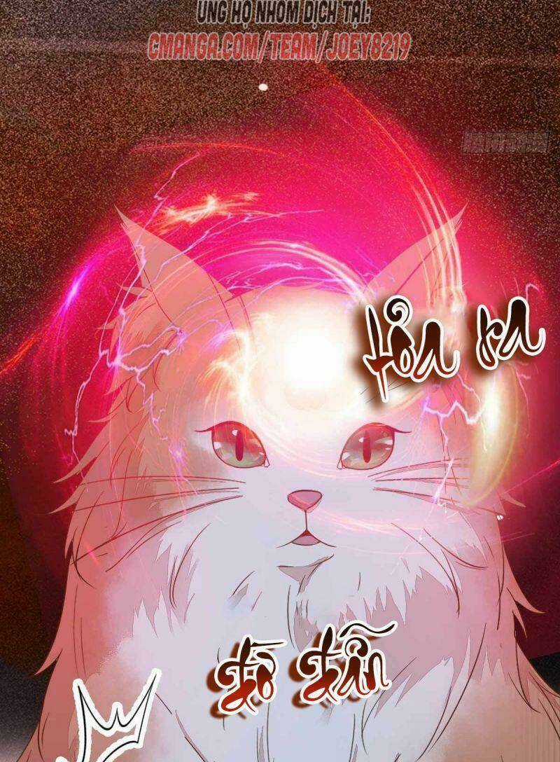 Sát Thủ Vương Phi Không Dễ Chọc Chapter 59 trang 4