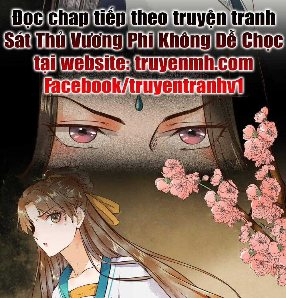 Sát Thủ Vương Phi Không Dễ Chọc Chapter 6 trang 24