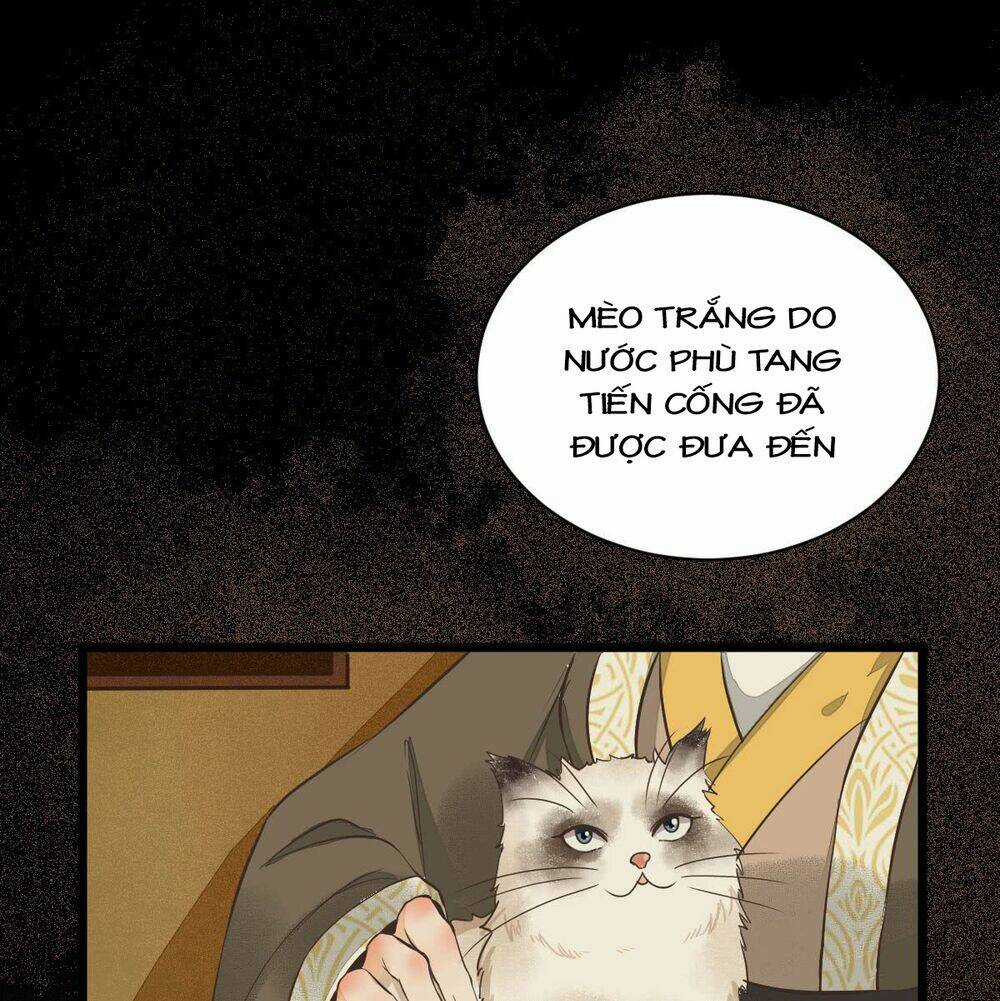 Sát Thủ Vương Phi Không Dễ Chọc Chapter 6 trang 6