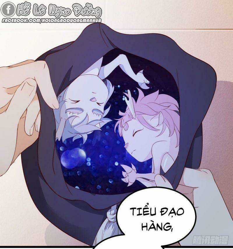 Sát Thủ Vương Phi Không Dễ Chọc Chapter 60 trang 14